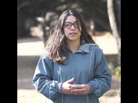 Dispositivo de asistencia para el freezing de la marcha