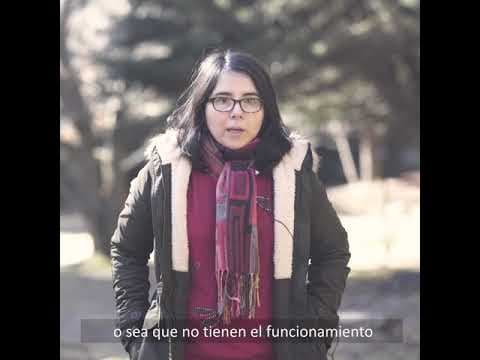 NANOBACT