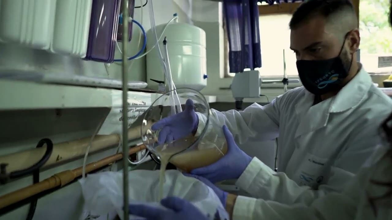 Present Chemistry